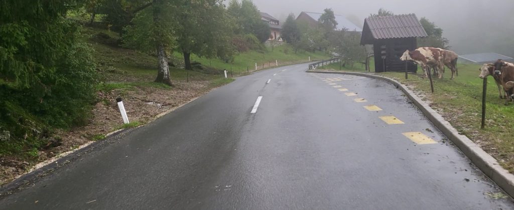 Viel Regen bringt der Herbst Viel Regen bringt der Herbst